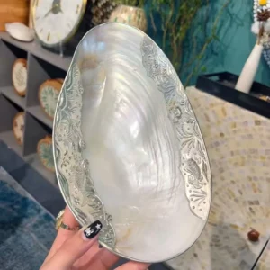 Large Silver Edge Shell Tray