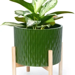 10 Inch Ceramic Plant Pot with Wood Stand